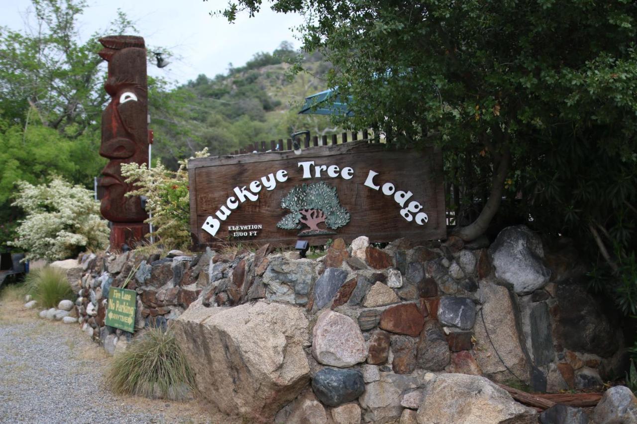 Buckeye Tree Lodge ثري ريفرز المظهر الخارجي الصورة