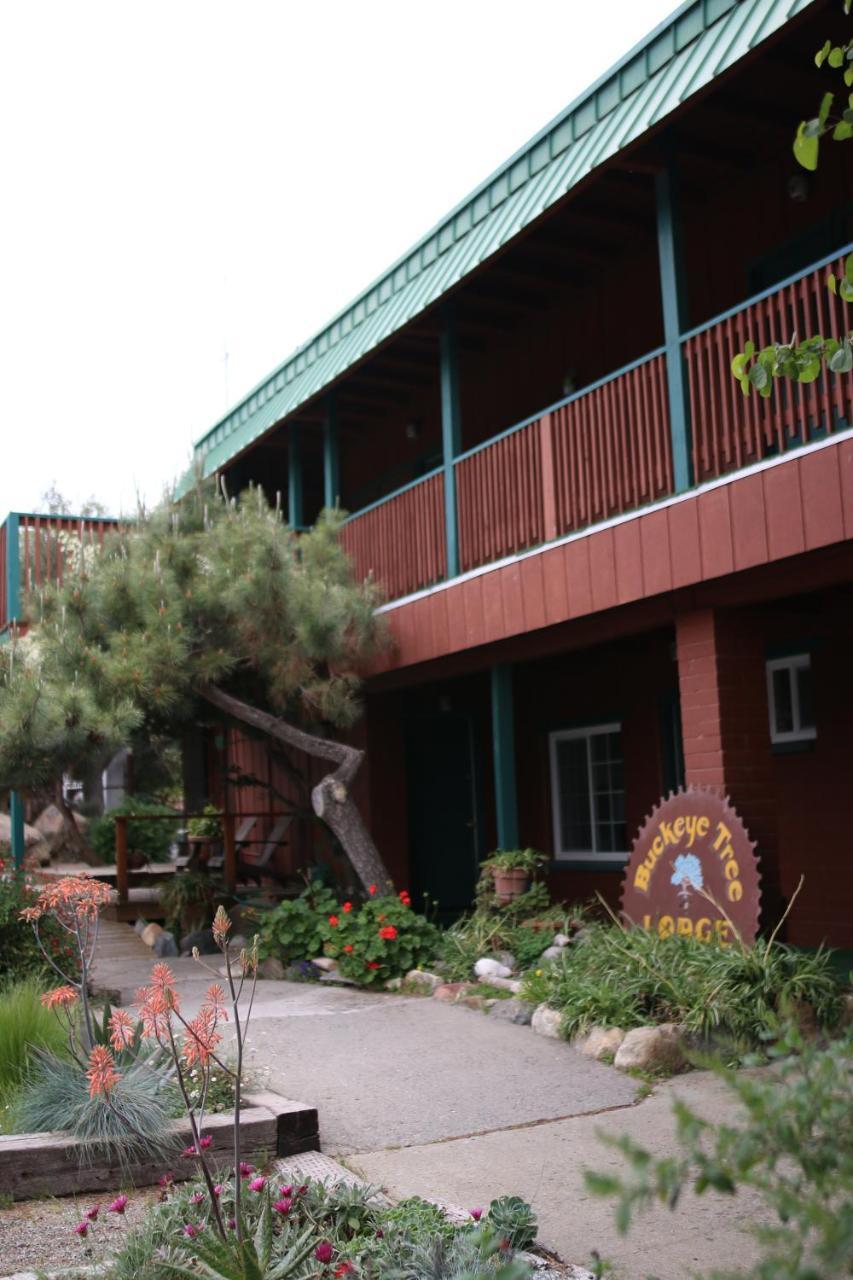 Buckeye Tree Lodge ثري ريفرز المظهر الخارجي الصورة
